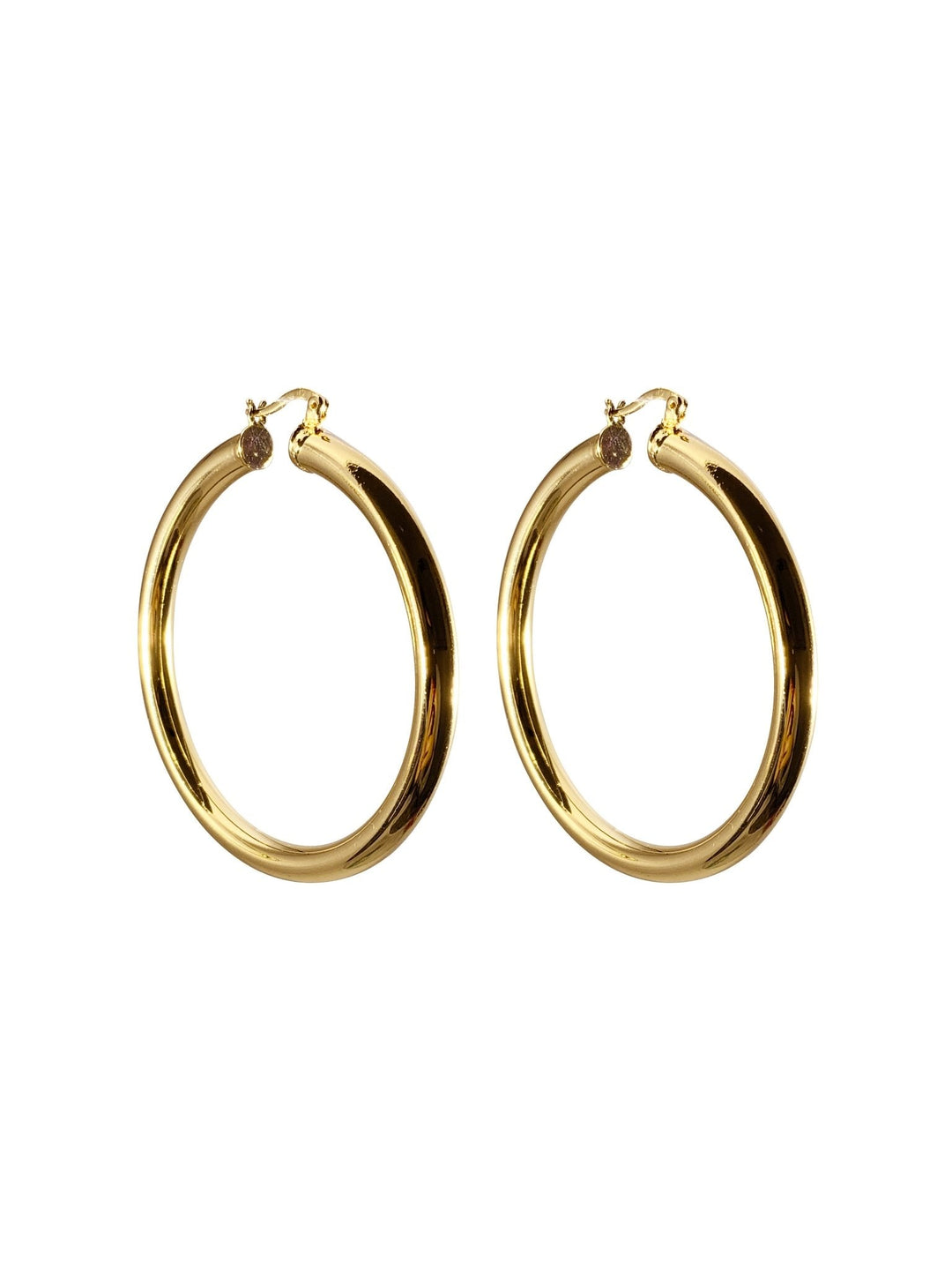 Selena Hoop 2 "