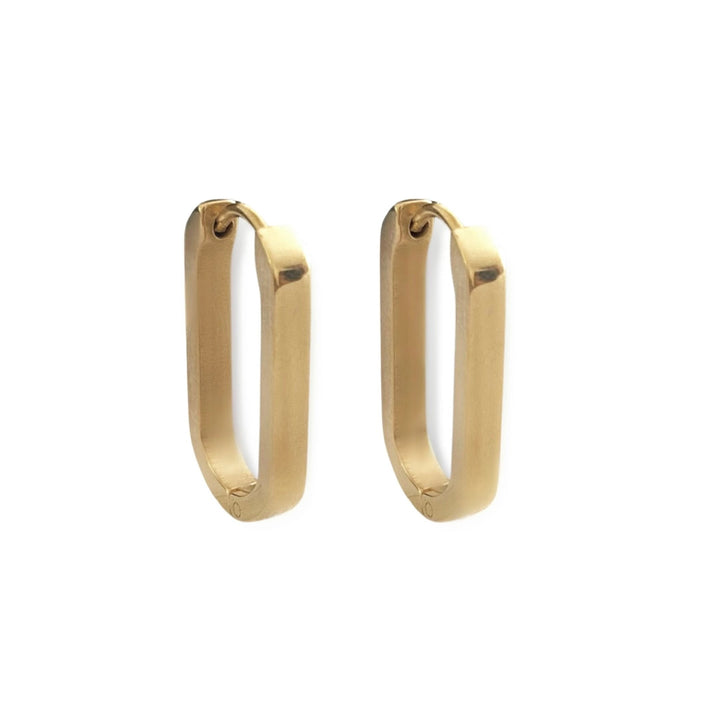 Single Link Hoops
