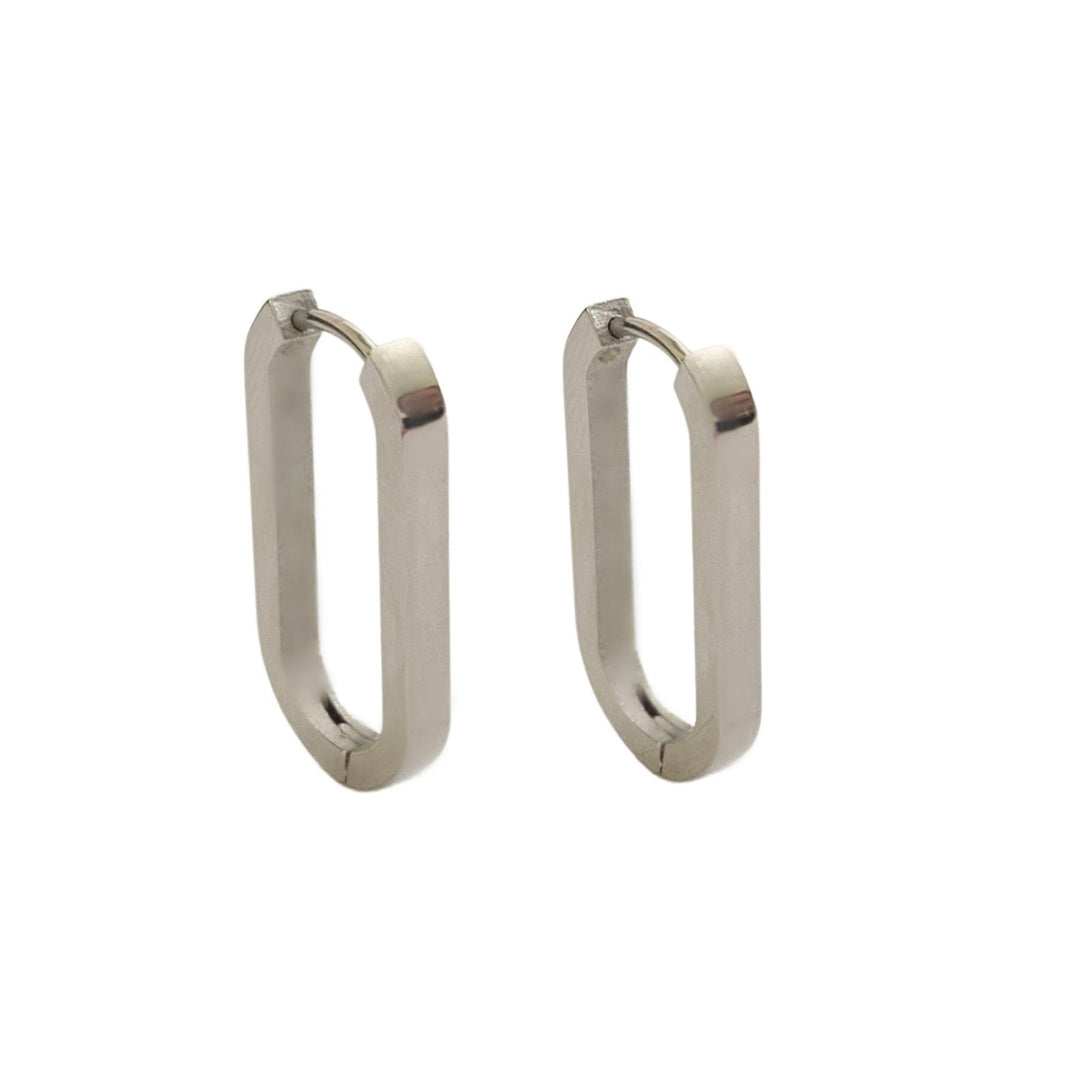 Single Link Hoops